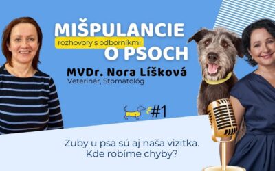 Zuby u psa sú aj naša vizitka. Kde robíme chyby?